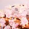 6FT Lighted Cherry Blossom Garland with 100 Fairy Lights – Battery Operated Artificial Cherry Blossom Vines with Timer for Mantle, Home, Wedding, Party, and Office Decor